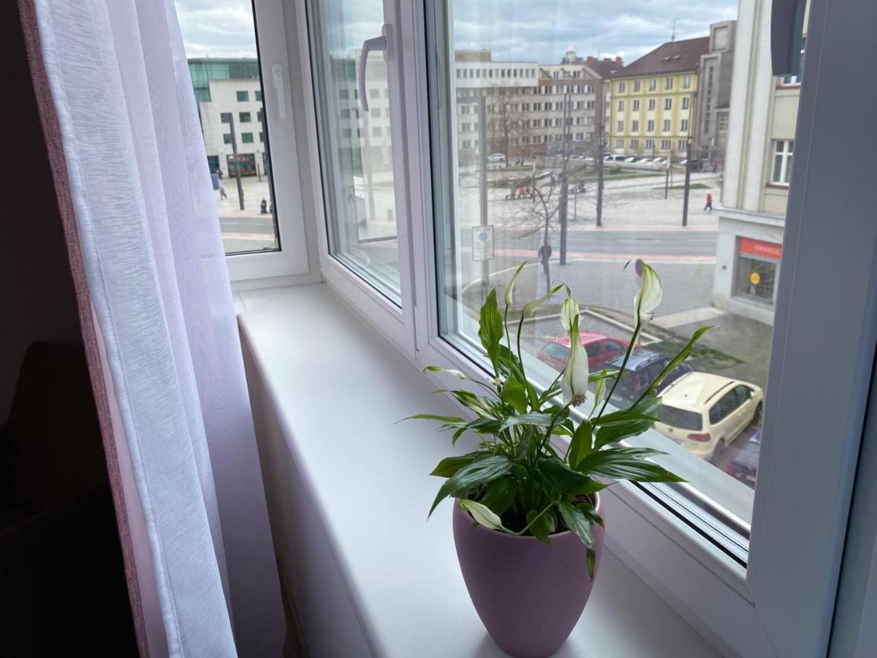 Perla Hradce 202 Lejlighed Hradec Králové Eksteriør billede
